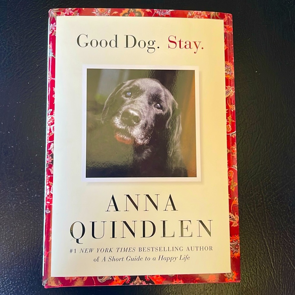 NWOT Good Dog. Stay Book